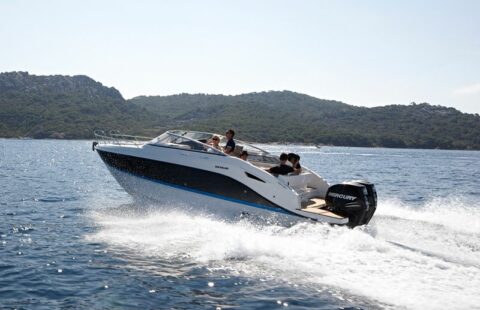 QUICKSILVER ACTIV 805 CRUISER année 2023 – Image 3